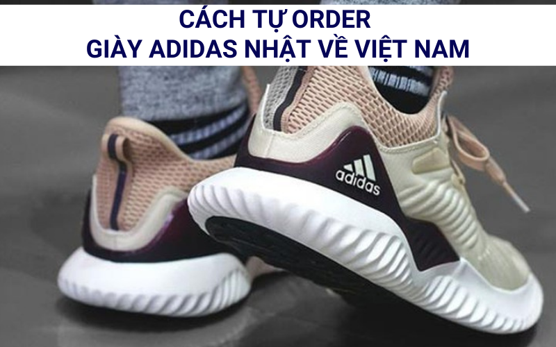 Hướng dẫn cách tự order giày Adidas Nhật về Việt Nam đơn giản nhất